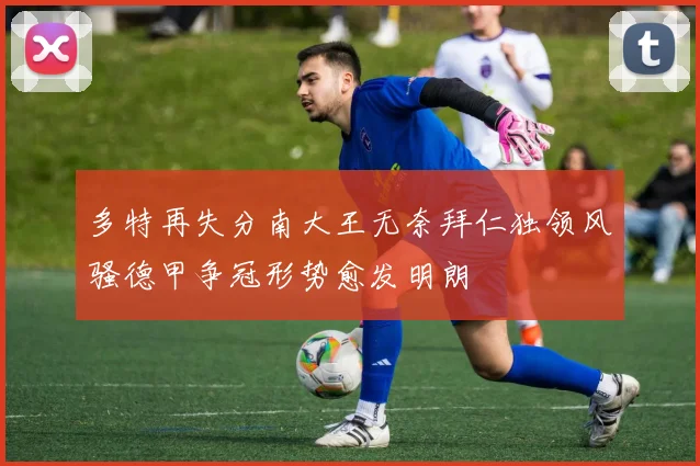 多特再失分南大王无奈拜仁独领风骚德甲争冠形势愈发明朗