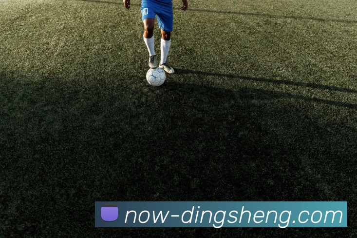 鼎盛娱乐平台生态图